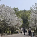 苏州旅游 缩略图 7
