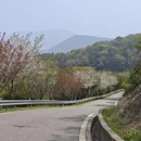 苏州旅游 缩略图 15