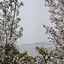 苏州旅游 缩略图 16