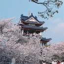 无锡旅游 缩略图 6