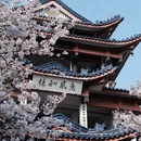无锡旅游 缩略图 7
