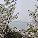 苏州旅游 缩略图 11
