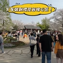 无锡旅游 缩略图 3