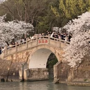 无锡旅游 缩略图 11