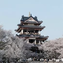 无锡旅游 缩略图 10