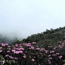 吉安旅游 缩略图 4