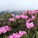 吉安旅游 缩略图 5
