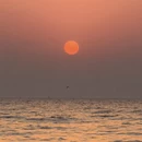 日照旅游 缩略图 1
