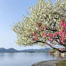 杭州旅游 缩略图 1