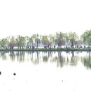 杭州旅游 缩略图 5