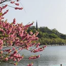 杭州旅游 缩略图 9