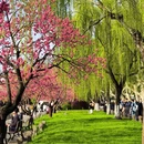 杭州旅游 缩略图 4