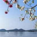 杭州旅游 缩略图 3