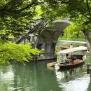 杭州旅游 缩略图 14