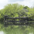 杭州旅游 缩略图 13
