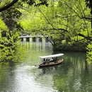杭州旅游 缩略图 15