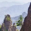 洛阳旅游 缩略图 5