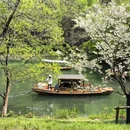 杭州旅游 缩略图 16