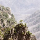 洛阳旅游 缩略图 10