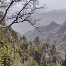 洛阳旅游 缩略图 15