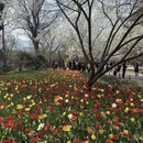 北京旅游 缩略图 8