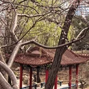 大连旅游 缩略图 4