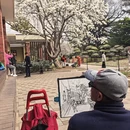 大连旅游 缩略图 8