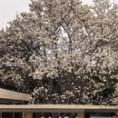 大连旅游 缩略图 11