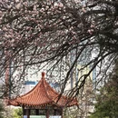 大连旅游 缩略图 5