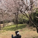 大连旅游 缩略图 7