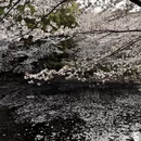 上海旅游 缩略图 2