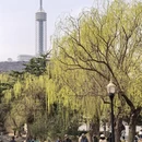 大连旅游 缩略图 13