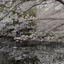 上海旅游 缩略图 6