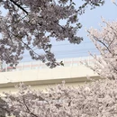 上海旅游 缩略图 3
