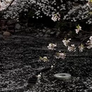 上海旅游 缩略图 8