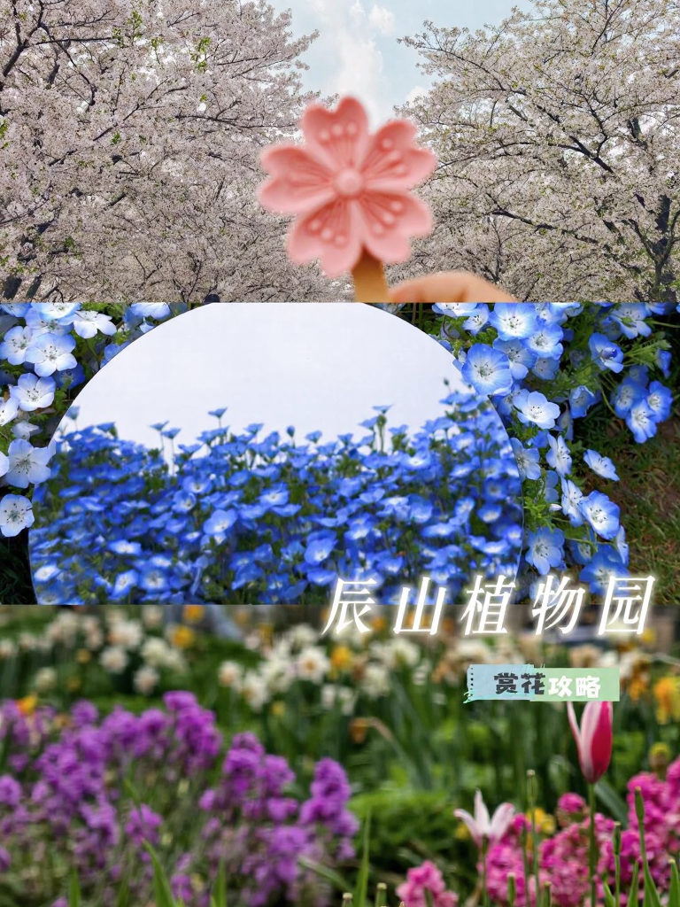 上海旅游