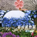 上海旅游 缩略图 1