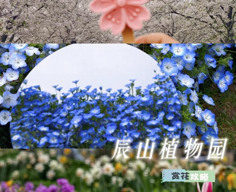 上海旅游 1