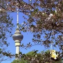 北京旅游 缩略图 1