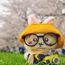 上海旅游 缩略图 11
