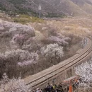 北京旅游 缩略图 4