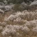 北京旅游 缩略图 7