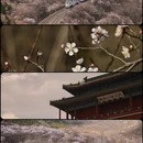 北京旅游 缩略图 1