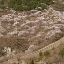 北京旅游 缩略图 9