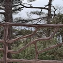 黄山旅游 缩略图 4