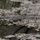 无锡旅游 缩略图 3