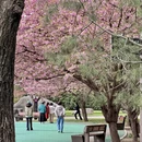 西安旅游 缩略图 18