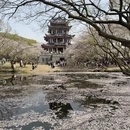 无锡旅游 缩略图 4