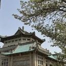武汉旅游 缩略图 1