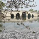 无锡旅游 缩略图 10